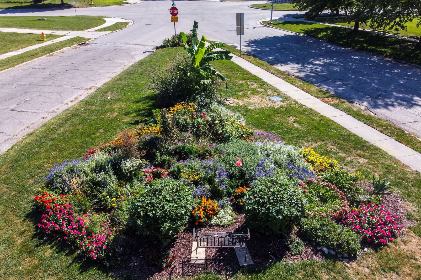 092621-owh-living-pollinatorgarden-pic-cm012